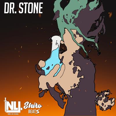 Dr. Stone's cover