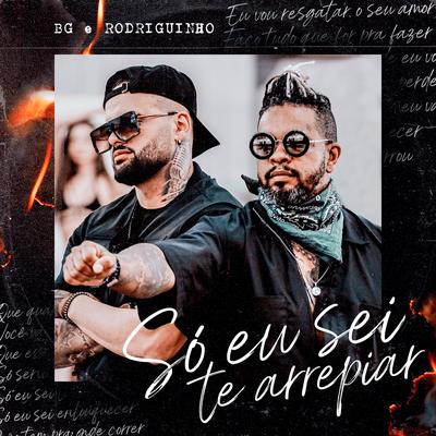 Só Eu Sei Te Arrepiar By Rodriguinho, BG's cover