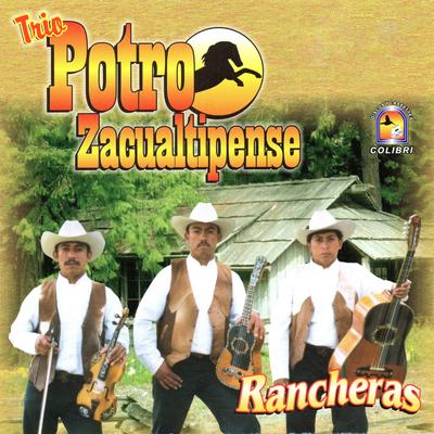 Trio Potro Zacualtipense's cover