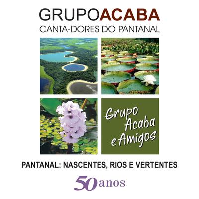 Gaivota Pantaneira By Grupo Acaba, DINO ROCHA's cover