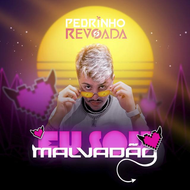 Pedrinho Revoada's avatar image