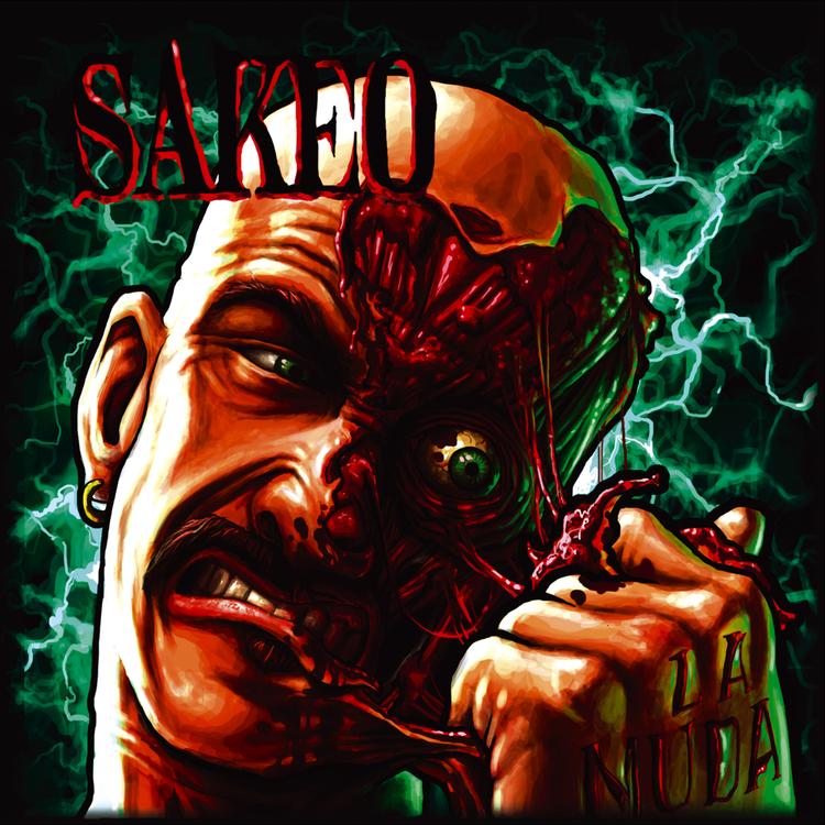 Sakeo's avatar image