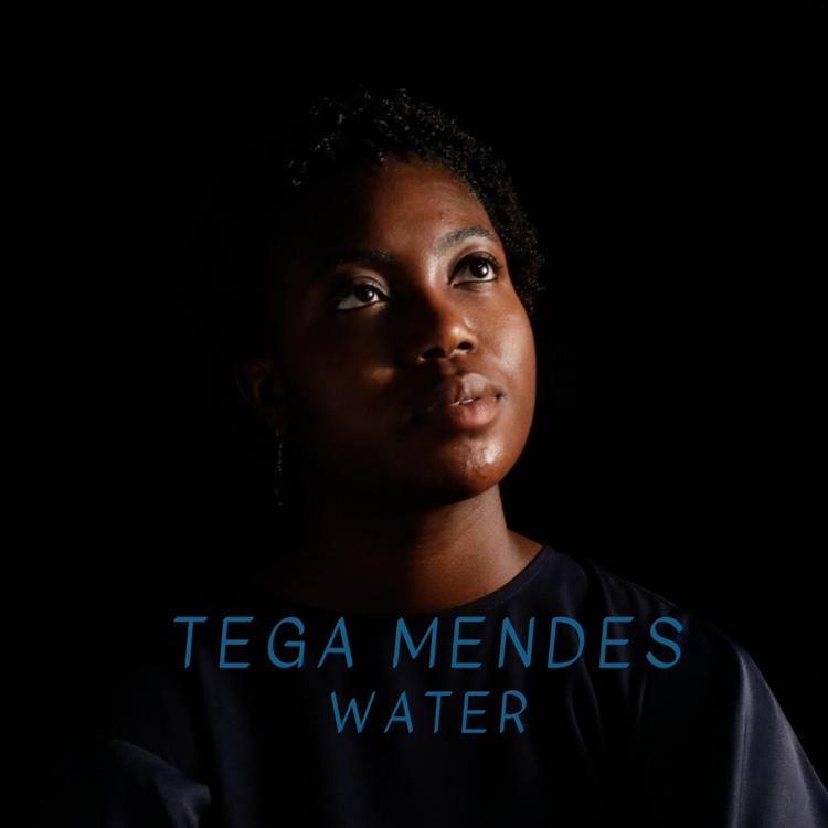 Tega Mendes's avatar image