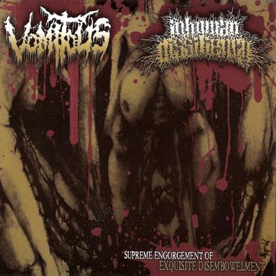 Vomiting Decayed Fecal Matter By Inhuman Dissiliency's cover