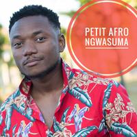Petit Afro's avatar cover