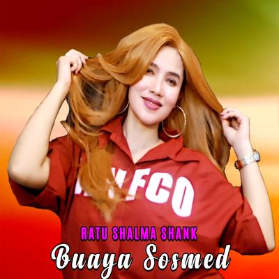 Buaya Sosmed's cover