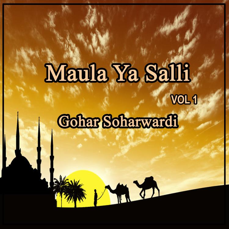 Gohar Soharwardi's avatar image