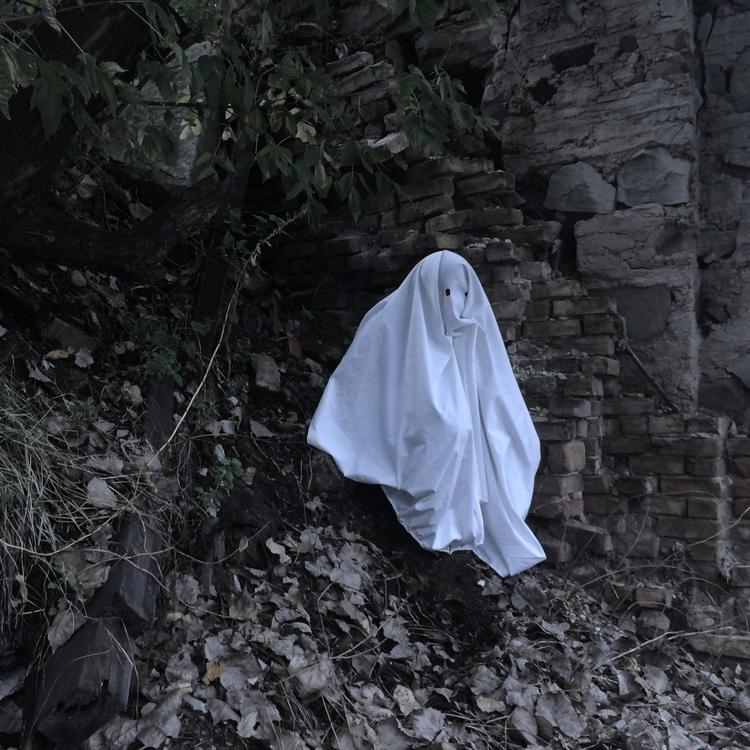 Trust This Ghost's avatar image