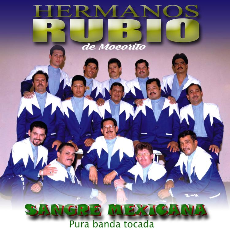 Hermanos Rubio de Mocorito's avatar image