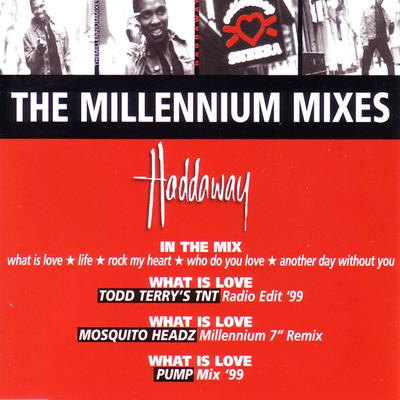 In the Mix: What Is Love / Life / Rock My Heart / Who Do You Love / Another Day Without You By Haddaway's cover