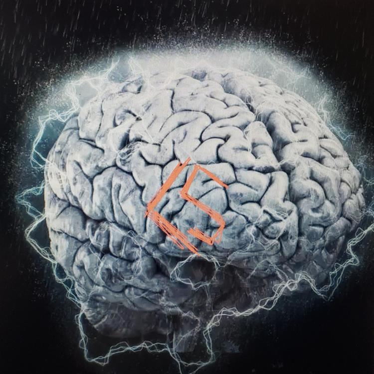 Cerebral Storm's avatar image