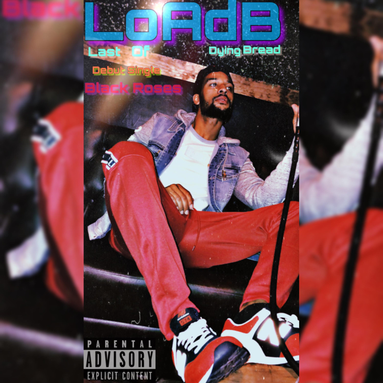 L.O.A.D B's avatar image