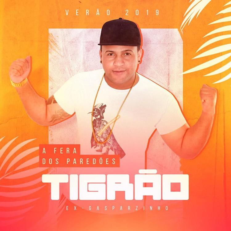 Tigrão's avatar image