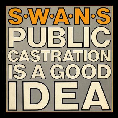 Public Castration Is a Good Idea (Live)'s cover