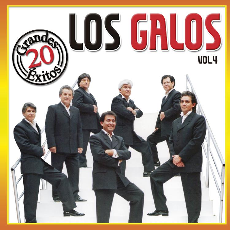 Los Galos's avatar image