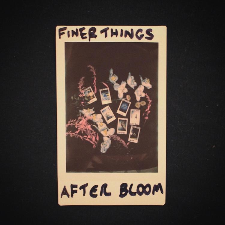 Finer Things's avatar image