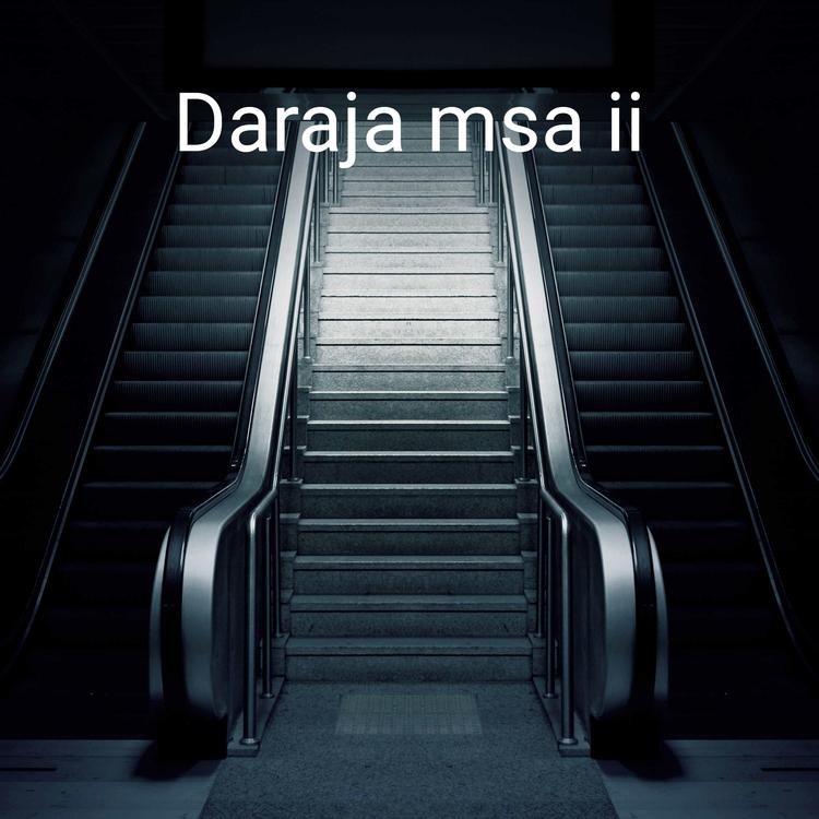 Daraja msa ii's avatar image