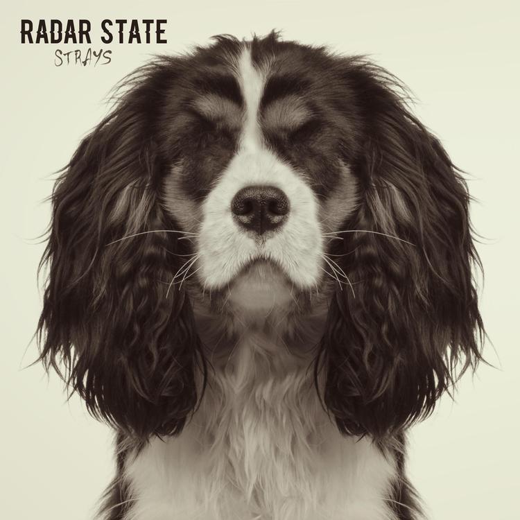 Radar State's avatar image