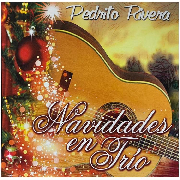 Pedrito Rivera's avatar image