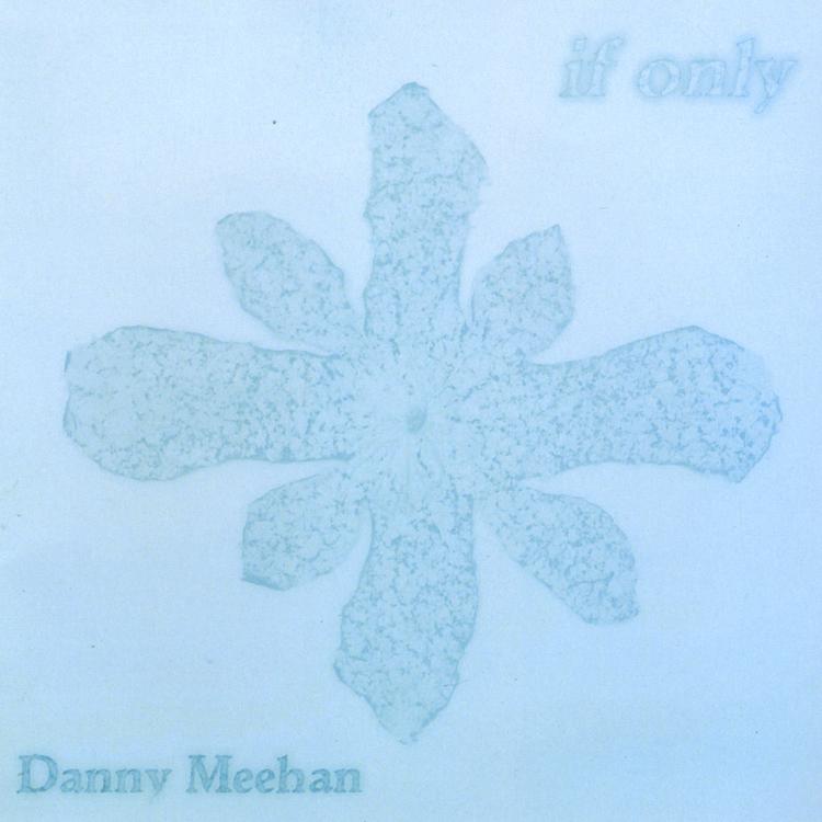 Danny Meehan's avatar image