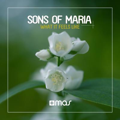 Our Love (Radio Mix) By Sons Of Maria's cover