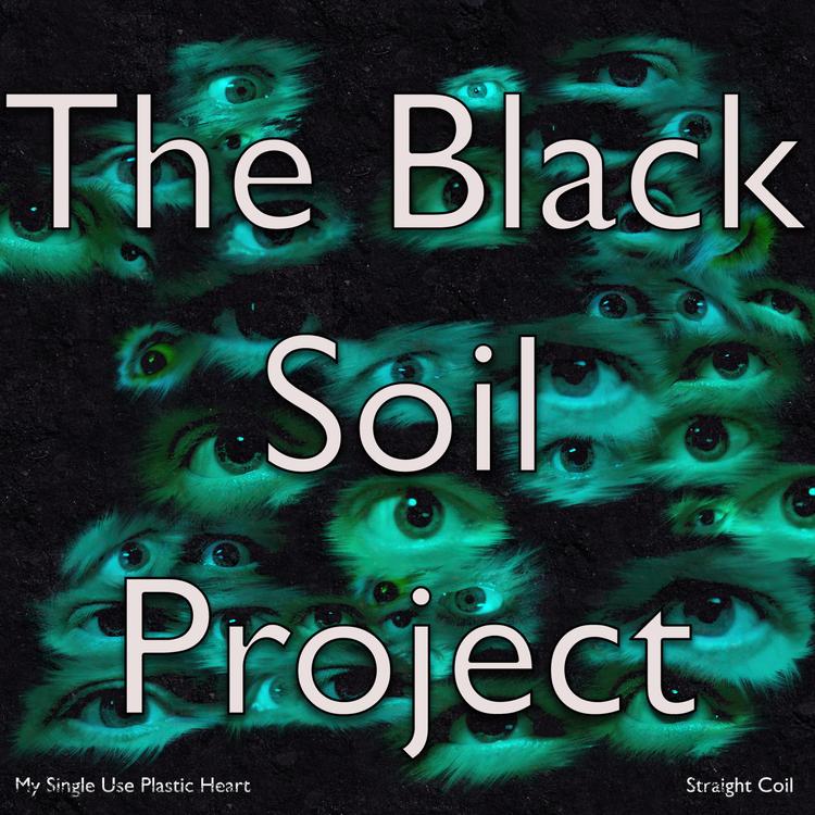 The Black Soil Project's avatar image