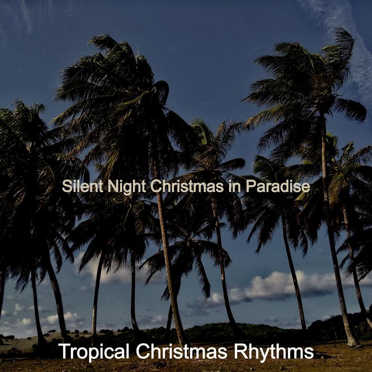 Tropical Christmas Rhythms's avatar image