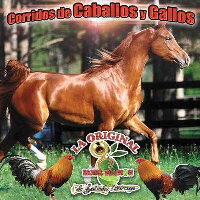 Corridos de Caballos y Gallos's cover