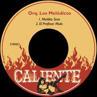 Orquesta Los Melódicos's avatar cover