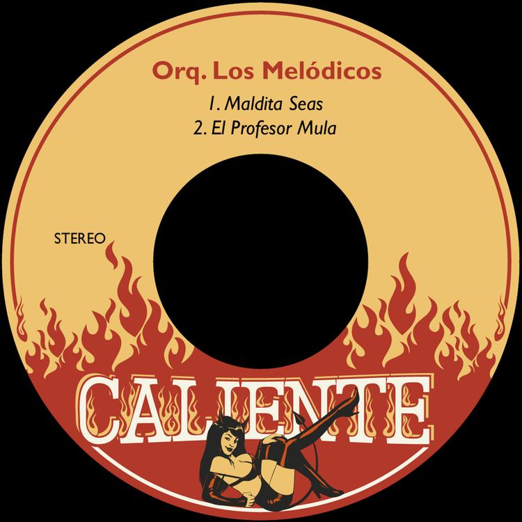 Orquesta Los Melódicos's avatar image