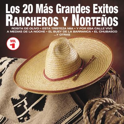 Los 20 Más Grandes Éxitos Rancheros y Norteños, Vol. 1's cover
