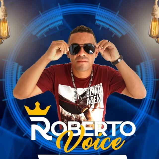 Roberto Voice's avatar image