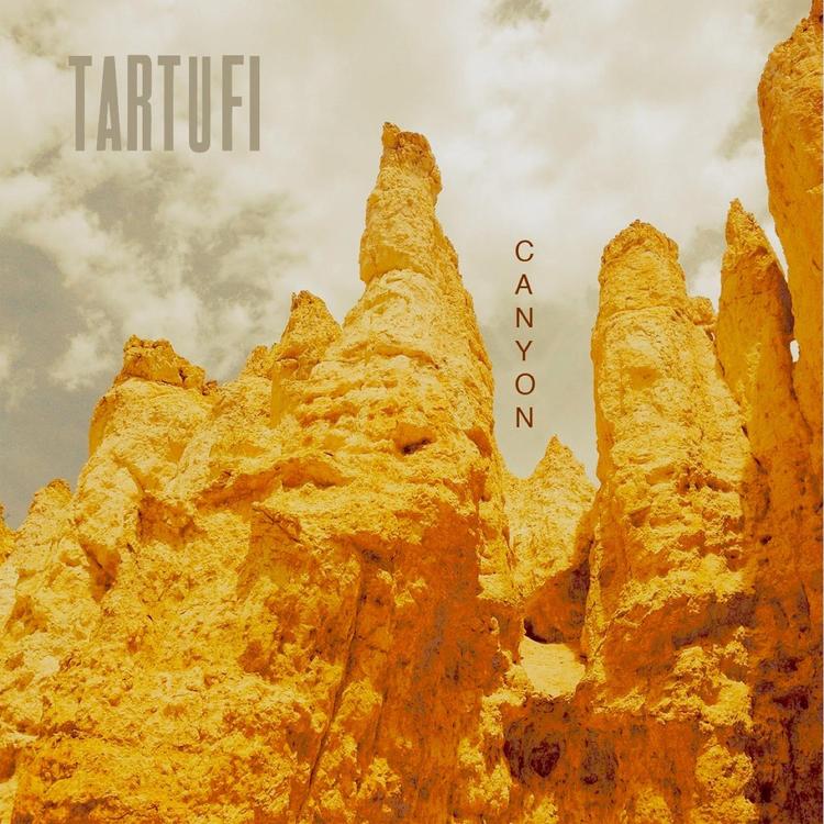 Tartufi's avatar image