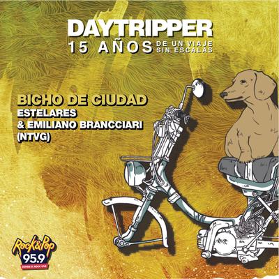 Bicho de Ciudad's cover