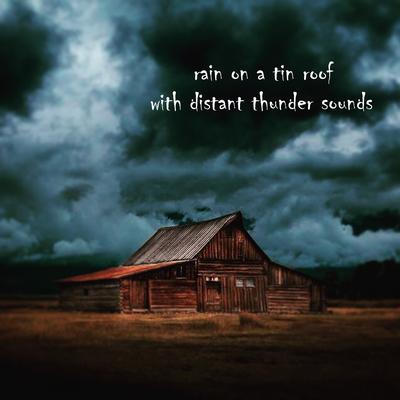 Rain on a Tin Roof with Distant Thunder Sounds, Pt. 22 By Thunderstorm Global Project's cover