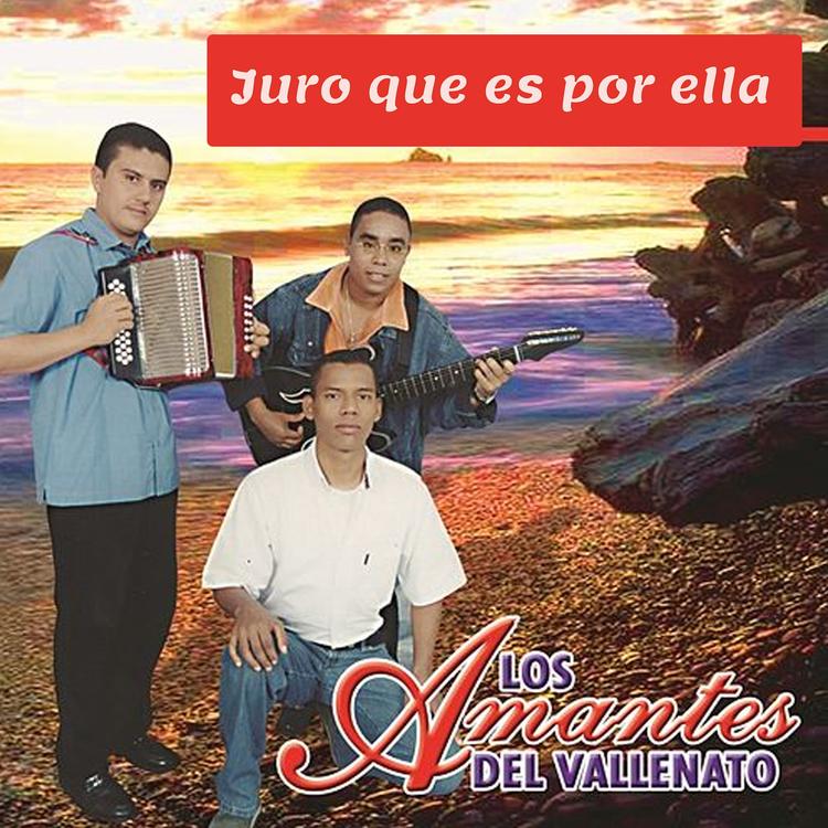 Los Amantes Del Vallenato's avatar image