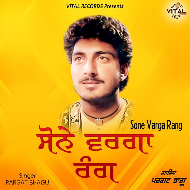 Pargat Bhagu's avatar image