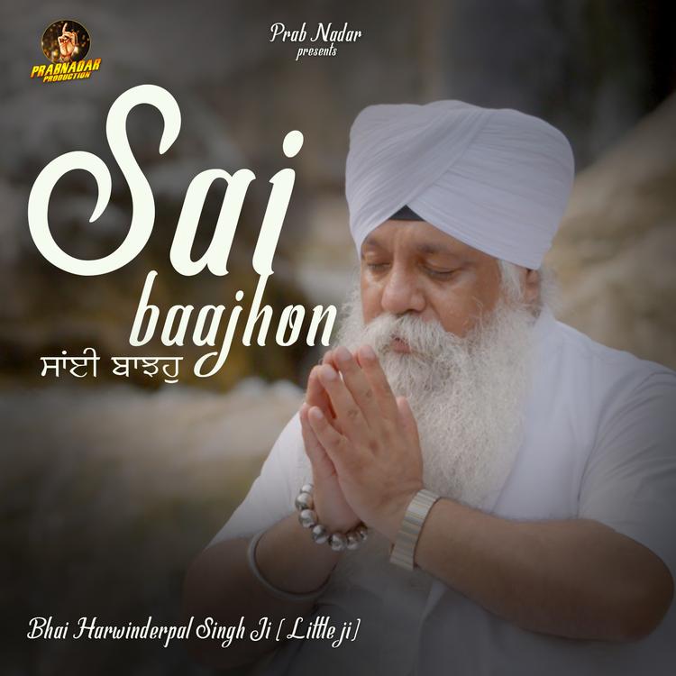 Bhai Harwiderpal Singh Little's avatar image