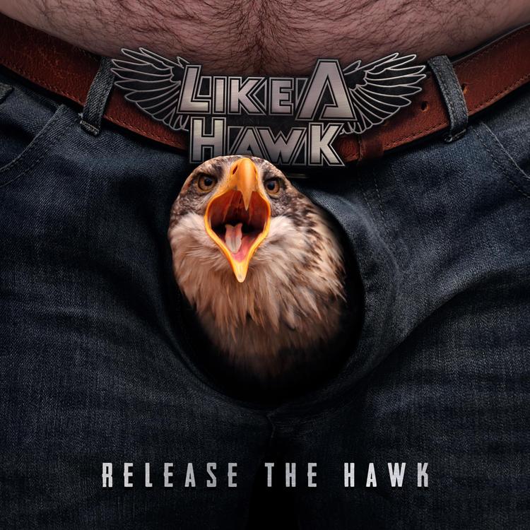 Like a Hawk's avatar image