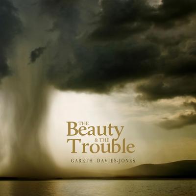 The Beauty & the Trouble's cover