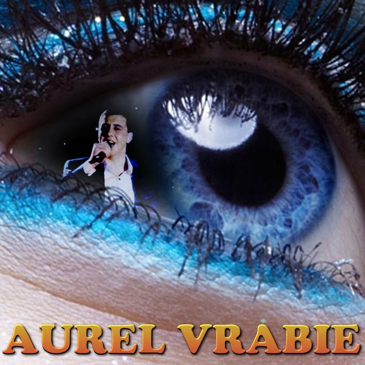 AUREL VRABIE's avatar image