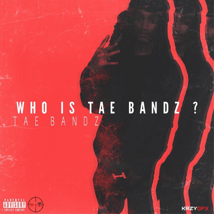 T$g Tae Bandz's avatar image