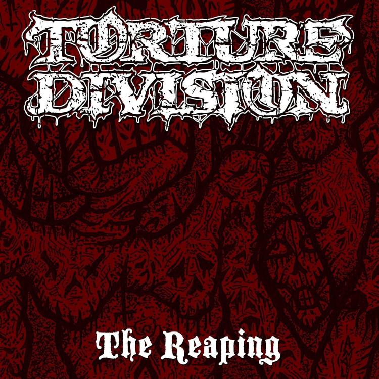 Torture Division's avatar image