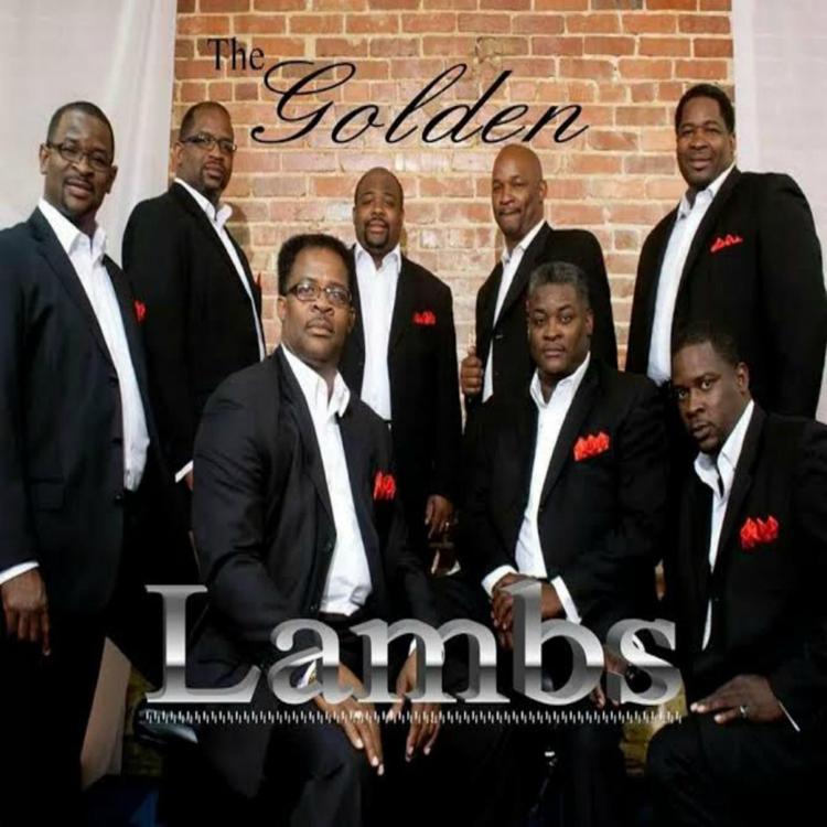 The Golden Lambs's avatar image