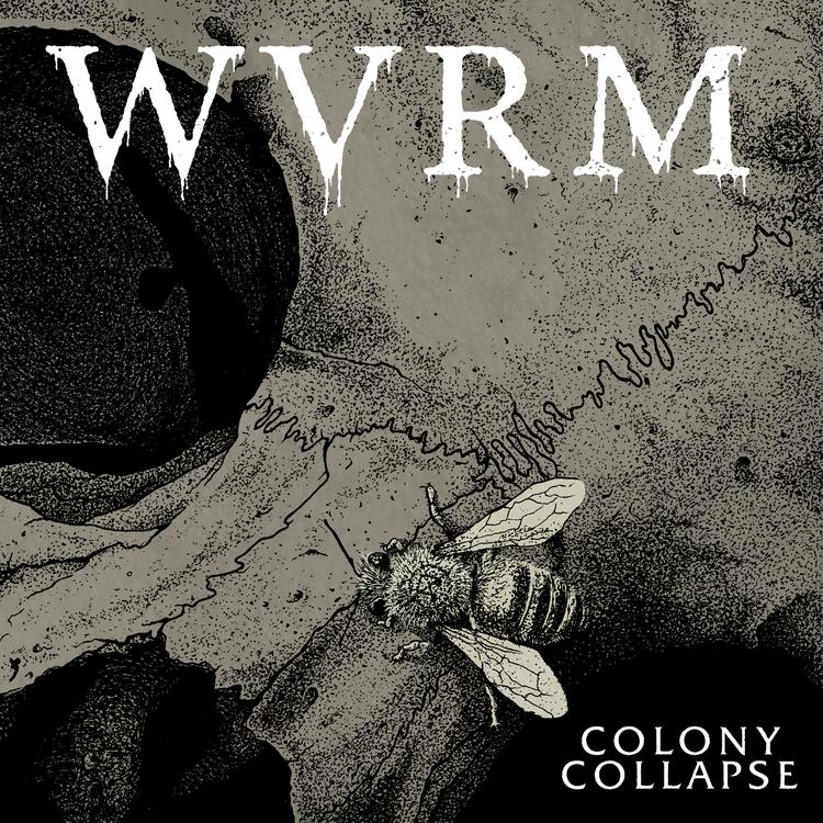 WVRM's avatar image