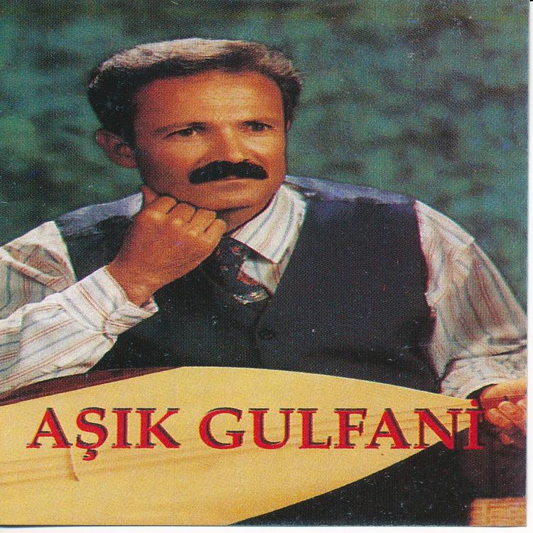 Aşık Gulfani's avatar image