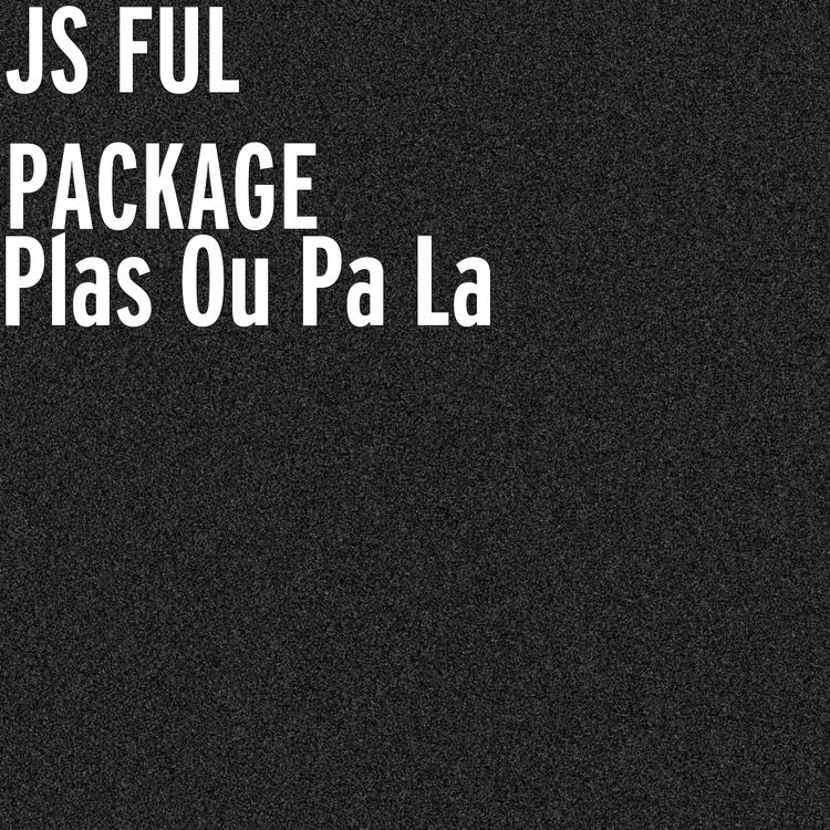 JS FUL PACKAGE's avatar image