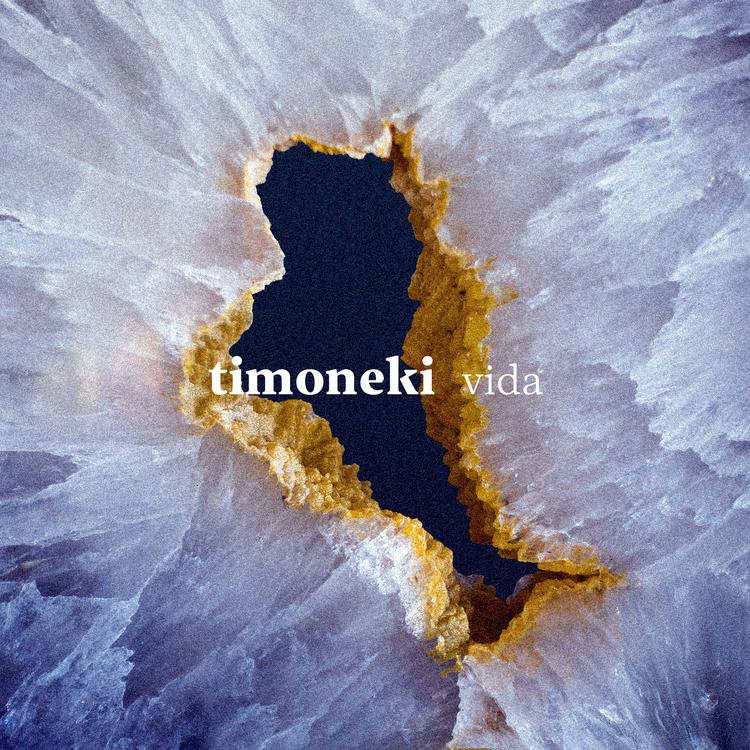 Timoneki's avatar image