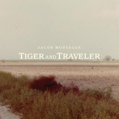 Traveler By Jacob Montague's cover