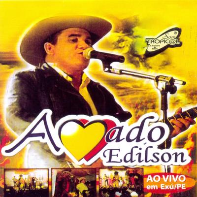 Vaqueiro Raparigueiro (Ao Vivo) By Amado Edilson's cover